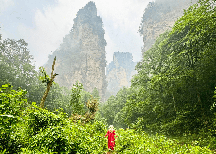 Zhangjiajie 3-Day Tour: Avatar & Tianmen