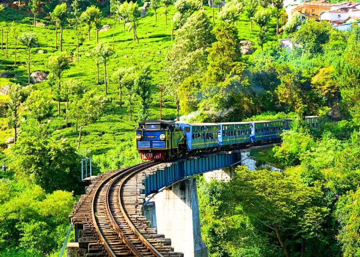 Ooty–Coonoor–Mysore Getaway (3D/2N)